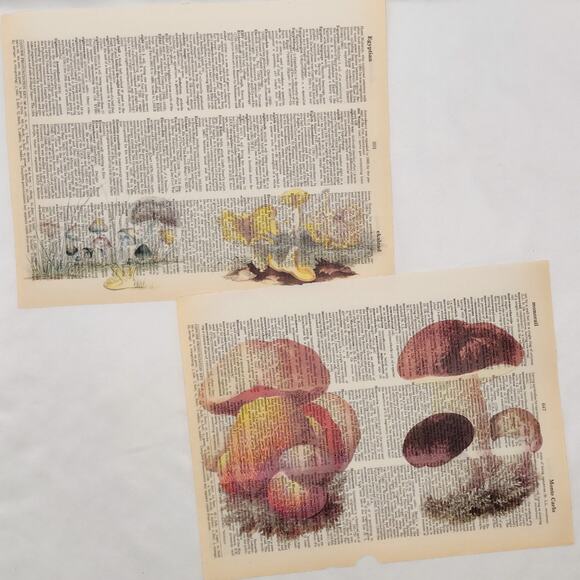 Mushroom Dictionary Prints, Colorful Mushroom Prints, Book Page Prints - Picture 4 of 6